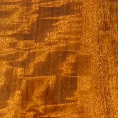 PF38503-5G-14C High-Gloss Wood Grain