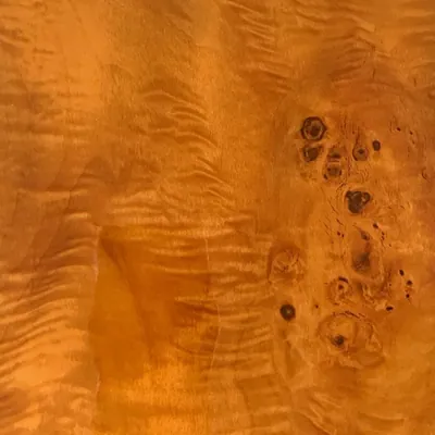 PF65906-5G High-Gloss Wood Grain