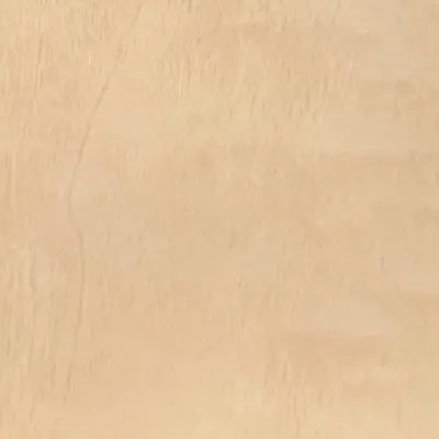 PF66604-5G High-Gloss Wood Grain