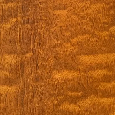 PF66605-5G High-Gloss Wood Grain
