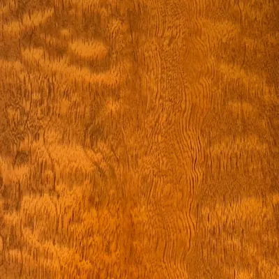 PF66605-5M High-Gloss Wood Grain