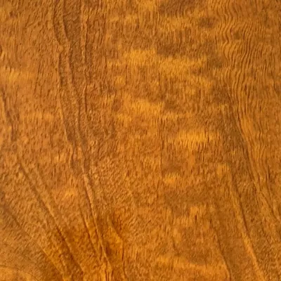 PF66606-5G High-Gloss Wood Grain