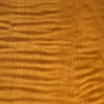 PF66806-5G High-Gloss Wood Grain