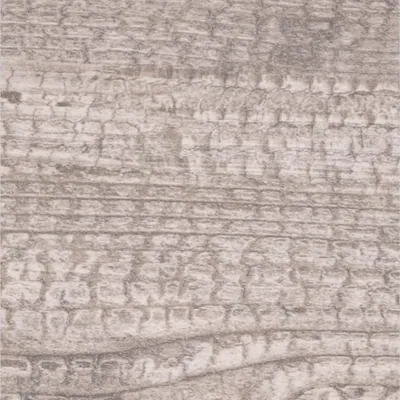 PTBS62601-169 3D Synchronized Printing Wood Grain