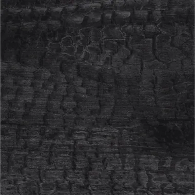 PTBS62602-169 3D Synchronized Printing Wood Grain