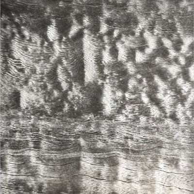 PTBS66603-17 3D Synchronized Printing Wood Grain