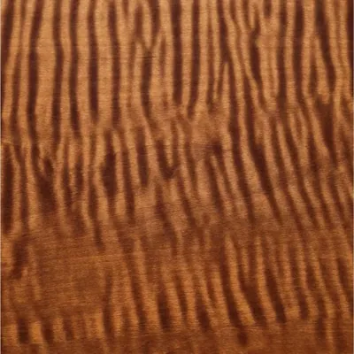 PTBS66802-17 3D Synchronized Printing Wood Grain