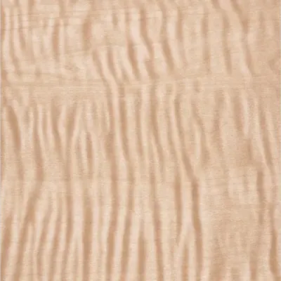 PTBS66804-17 3D Synchronized Printing Wood Grain