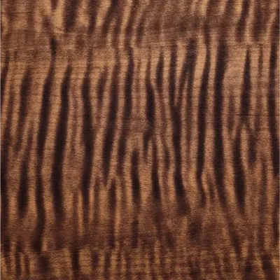 PTBS66805-17 3D Synchronized Printing Wood Grain