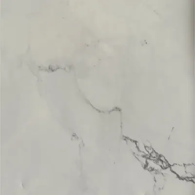 YP311302-5G High-Gloss Stone with Silver Dust