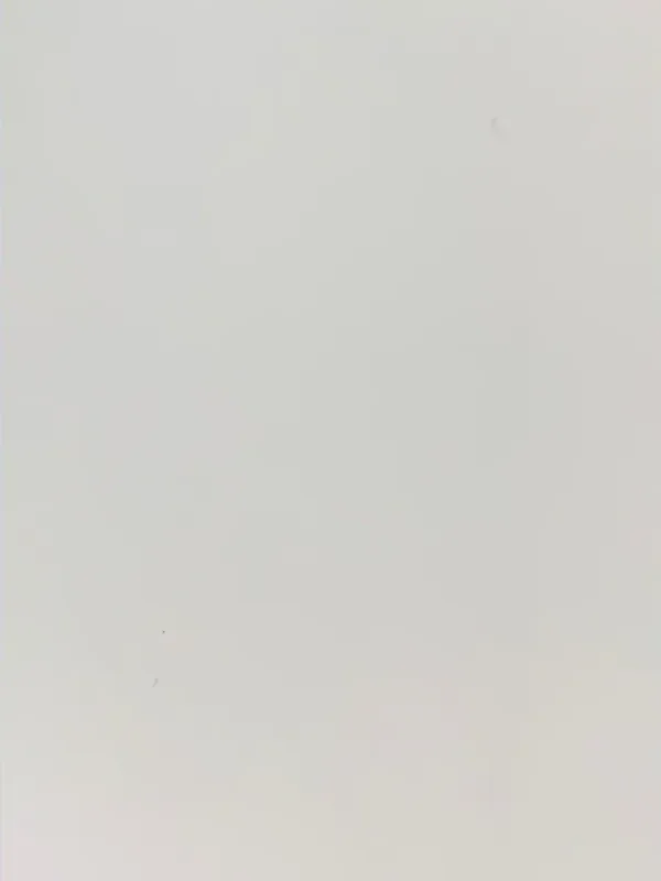 PNX173